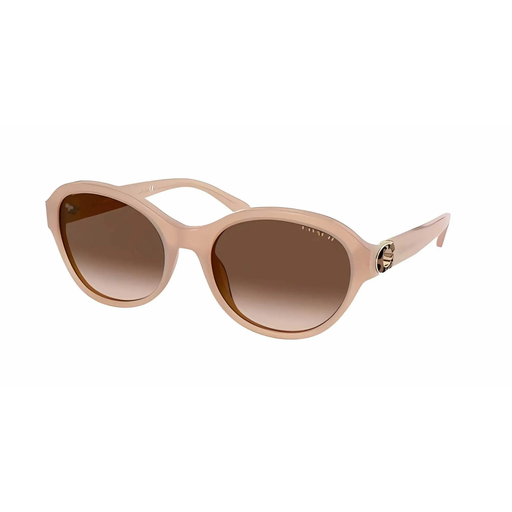 Coach Women's Sunglasses - Oval Frame Gradient Brown Lens | COACH 0HC8293 5611357