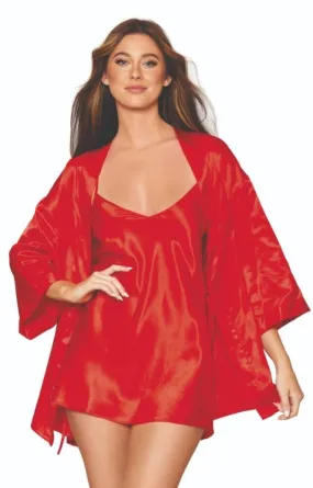 Elegant Satin Robe and Chemise Set
