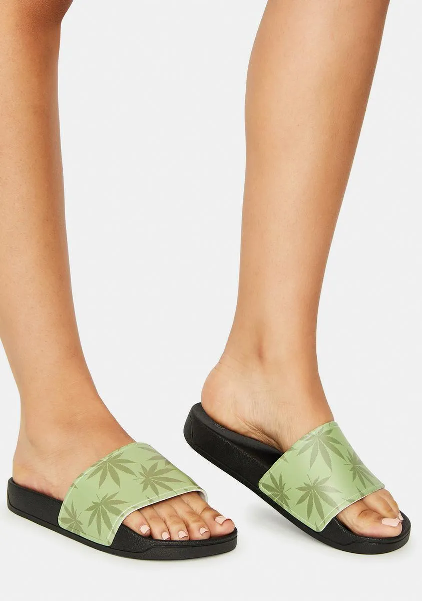 Green Plantlife Graphic Slides